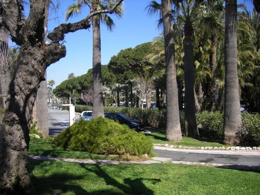 Karolina Properties - Appartement Commodore Croisette Cannes Bagian luar foto